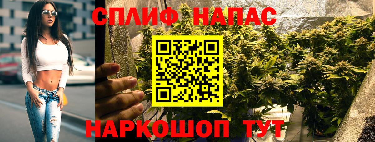 Конопля гибрид  Конопля OG Kush  Бошки Шишки гибрид  Каннабис семена  Арзамас  Вход с VPN 